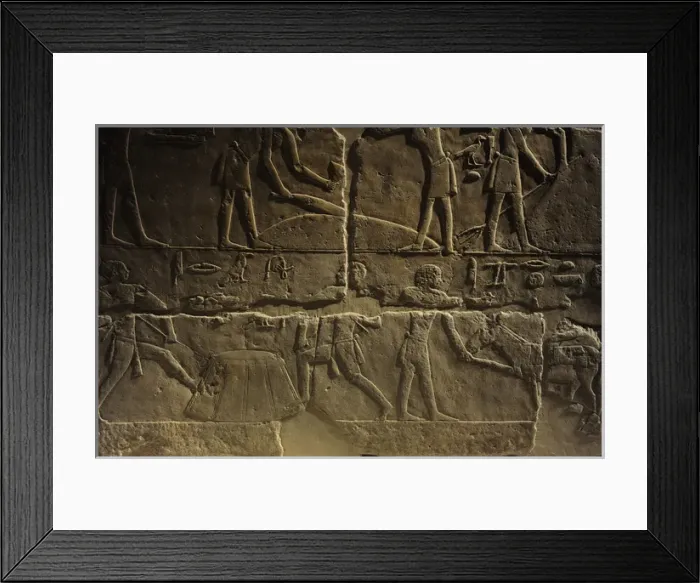 Framed Print : Relief depicting a phases of harvesting. Egypt Framed Print : Relief depicting a phases of harvesting. Egypt