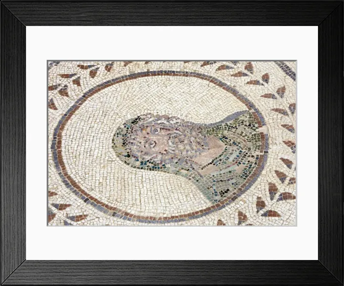 Framed Print : Spain. Italica. Roman city founded c. 206 BC. House of the P Framed Print : Spain. Italica. Roman city founded c. 206 BC. House of the P