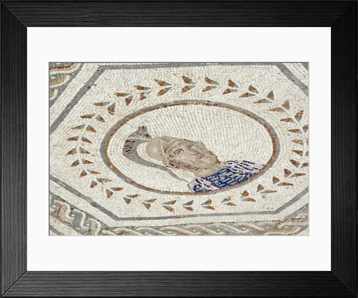 Framed Print : Spain. Italica. Roman city founded c. 206 BC. House of the P Framed Print : Spain. Italica. Roman city founded c. 206 BC. House of the P