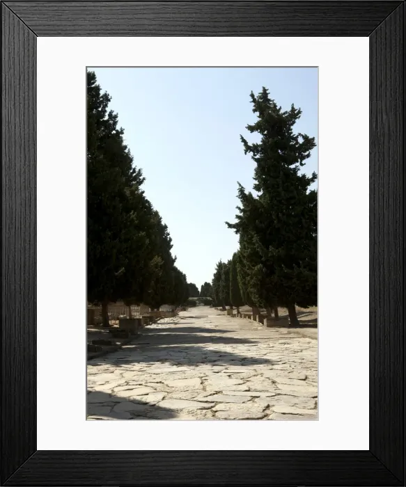 Framed Print : Roman city of Italica. Spain Framed Print : Roman city of Italica. Spain