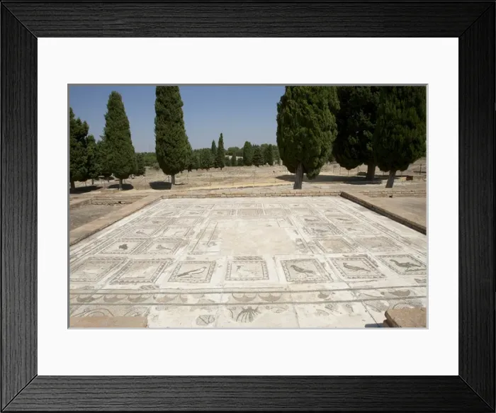 Framed Print : Roman city of Italica. House of the Birds. Mosaic. Spain Framed Print : Roman city of Italica. House of the Birds. Mosaic. Spain