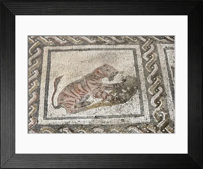 Framed Print : Spain. Italica. Roman city founded c. 206 BC. House of the P Framed Print : Spain. Italica. Roman city founded c. 206 BC. House of the P