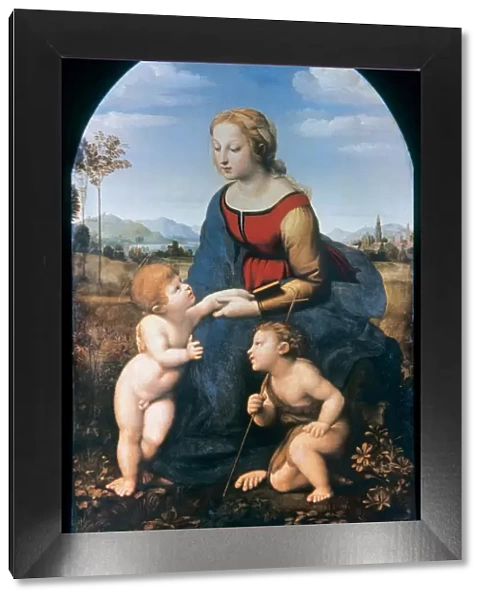 Renaissance. Raphael (1483-1520). Italian painter. La Belle