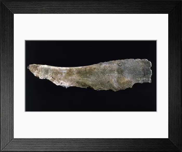 Framed Print : Spain. Magdalenian (16000-15000). Scapula depicting a figure Framed Print : Spain. Magdalenian (16000-15000). Scapula depicting a figure