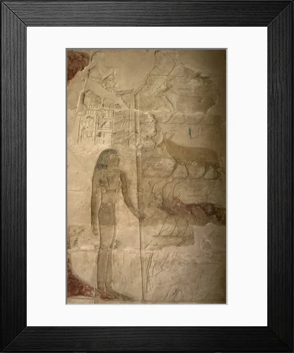 Framed Print : Mastaba of Nefer and Kahay. Relief. Female figure standing w Framed Print : Mastaba of Nefer and Kahay. Relief. Female figure standing w