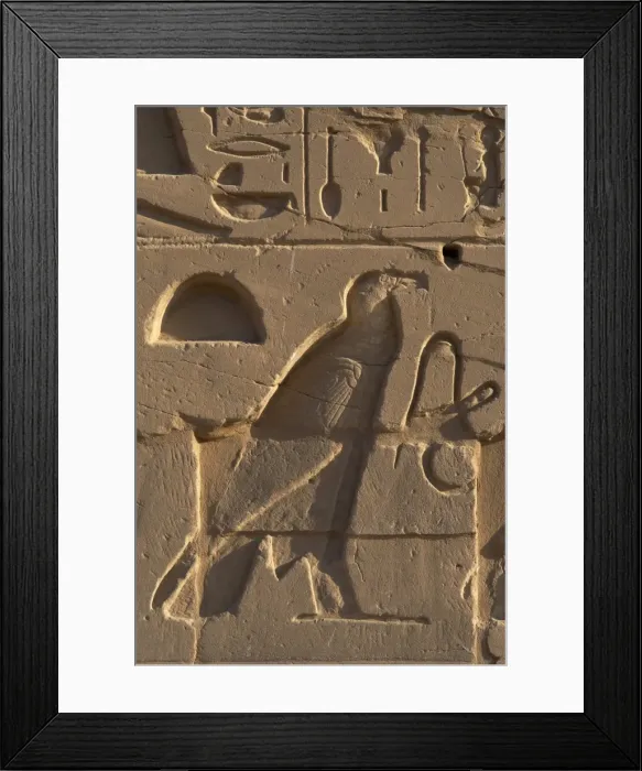 Framed Print : Egyptian Art. Relief depicting a vulture. Karnak Framed Print : Egyptian Art. Relief depicting a vulture. Karnak