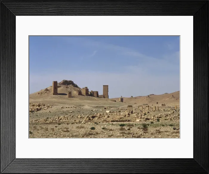 Framed Print : Syria. Palmyra. The Valley of the Tombs. Oasis of Tadmor Framed Print : Syria. Palmyra. The Valley of the Tombs. Oasis of Tadmor