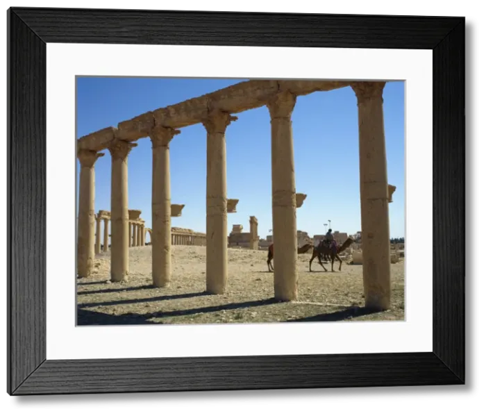 Framed Print : Syria. Ruins of Palmyra. Middle East. Colonnade. 3rd century Framed Print : Syria. Ruins of Palmyra. Middle East. Colonnade. 3rd century