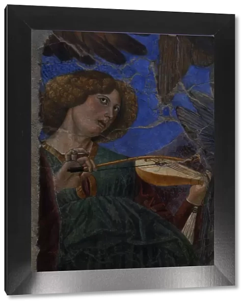 Angel playing a violin, c. 1480. Melozzo da Forli (1438-1494