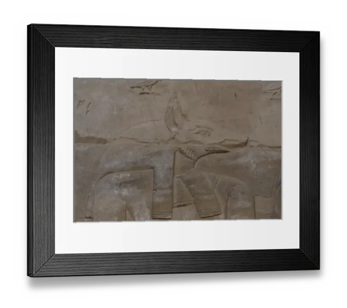 Framed Print : Egypt. Temple of Horus. Relief depicting the jackal-headed G Framed Print : Egypt. Temple of Horus. Relief depicting the jackal-headed G