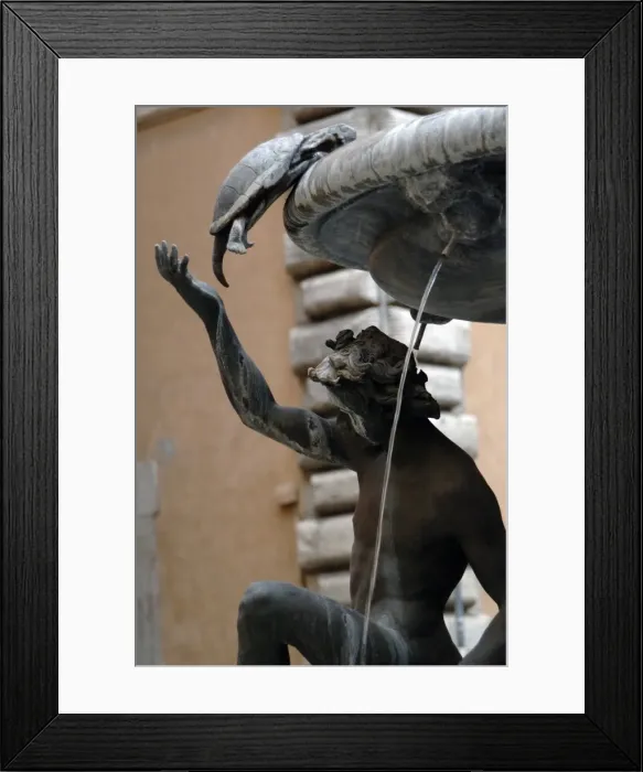 Framed Print : The Turtle Fountain. Detail. Turtle and bronze ephebe. 16th c Framed Print : The Turtle Fountain. Detail. Turtle and bronze ephebe. 16th c