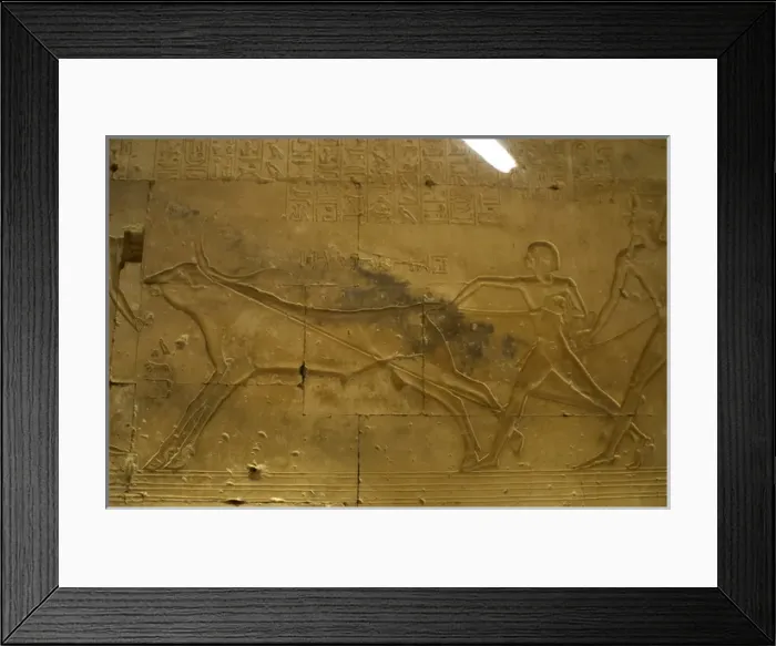 Framed Print : Egyptian Art. Temple of Seti I at Abydos. The pharaoh Ramess Framed Print : Egyptian Art. Temple of Seti I at Abydos. The pharaoh Ramess