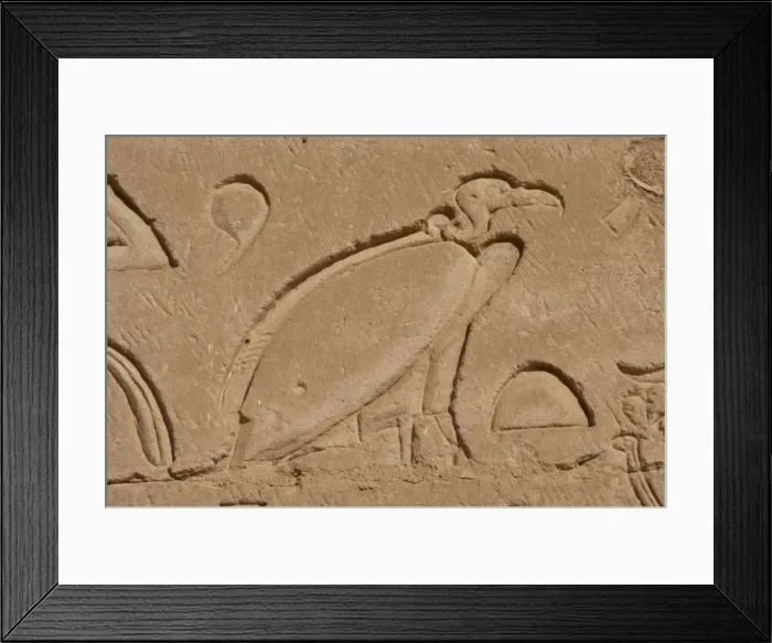 Framed Print : Egypt. Edfu. Temple of Horus. Vulture. Relief Framed Print : Egypt. Edfu. Temple of Horus. Vulture. Relief