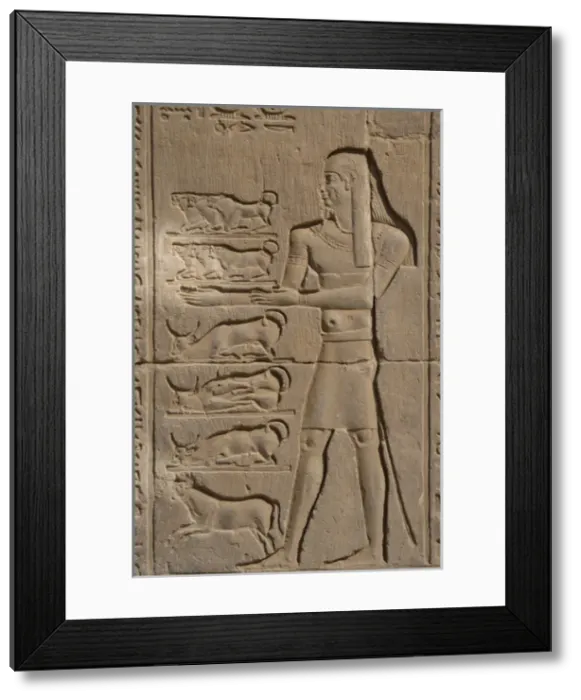 Framed Print : Egyptian Art. Temple of Kom Ombo. Offerer. Relief Framed Print : Egyptian Art. Temple of Kom Ombo. Offerer. Relief