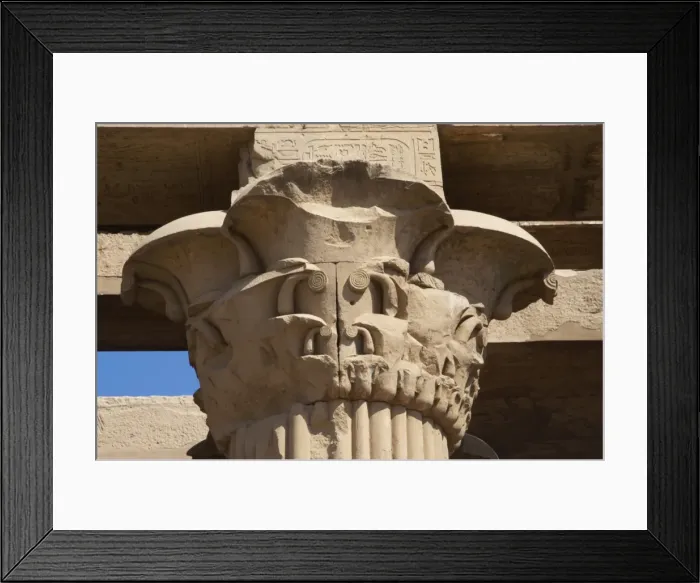 Framed Print : Egyptian Art. Temple of Kom Ombo. Papyrus column. Capital Framed Print : Egyptian Art. Temple of Kom Ombo. Papyrus column. Capital
