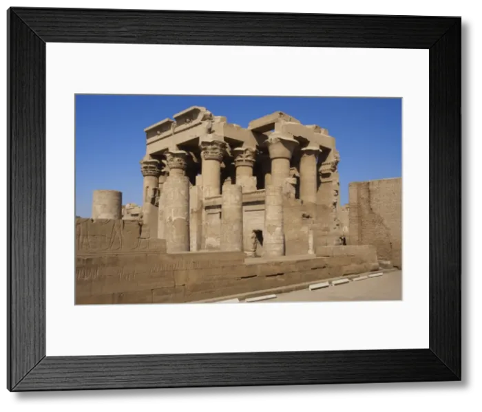 Framed Print : Egyptian Art. Temple of Kom Ombo. Papyrus columns Framed Print : Egyptian Art. Temple of Kom Ombo. Papyrus columns