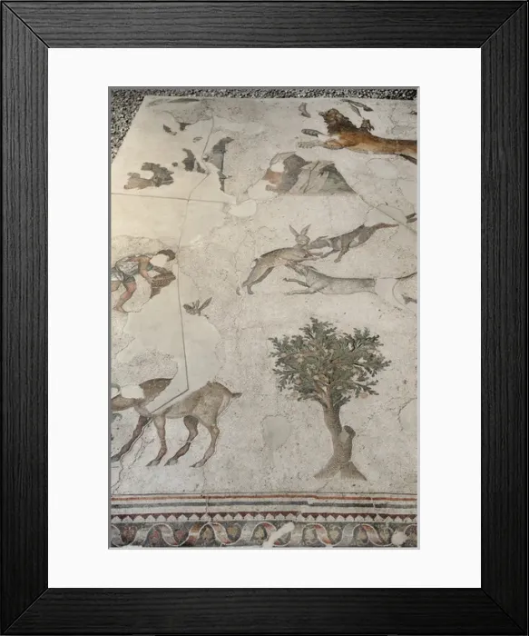 Framed Print : Mosaic of the Great Palace Mosaic Museum. Istanbul Framed Print : Mosaic of the Great Palace Mosaic Museum. Istanbul