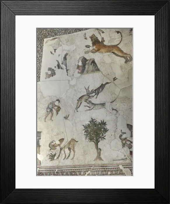 Framed Print : Mosaic of the Great Palace Mosaic Museum. Istanbul Framed Print : Mosaic of the Great Palace Mosaic Museum. Istanbul