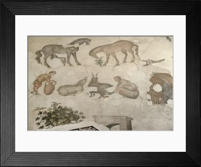 Framed Print : Mosaic of the Great Palace Mosaic Museum. Istanbul Framed Print : Mosaic of the Great Palace Mosaic Museum. Istanbul