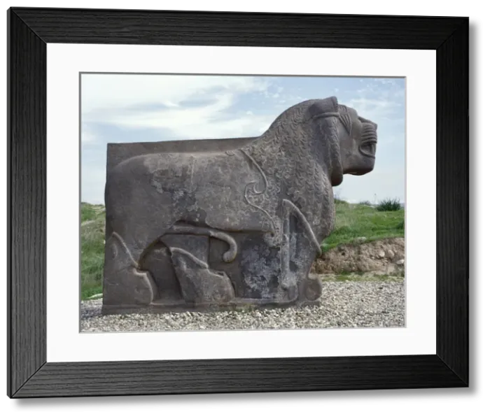 Framed Print : Neo-Hittite. Colossal basalt lion found in 1955. Ain Dara Te Framed Print : Neo-Hittite. Colossal basalt lion found in 1955. Ain Dara Te