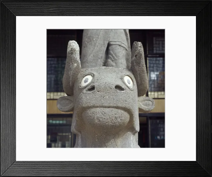 Framed Print : Bull. Basalt. Syria Framed Print : Bull. Basalt. Syria