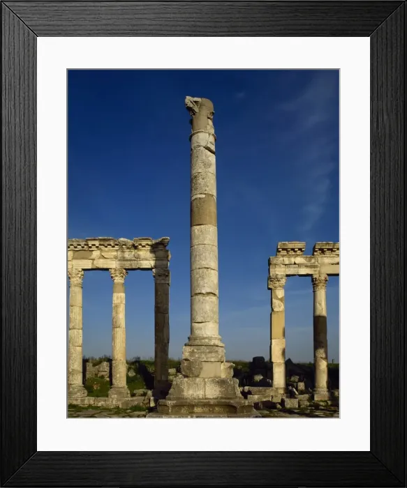Framed Print : Roman Art. Syria. Apamea. Monumental Column and Colonnade Framed Print : Roman Art. Syria. Apamea. Monumental Column and Colonnade