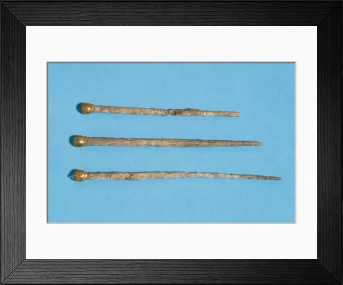 Framed Print : Pins with gilt heads. 2nd-3rd century. From Can Colomer Munm Framed Print : Pins with gilt heads. 2nd-3rd century. From Can Colomer Munm