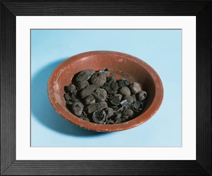 Framed Print : Roman. Spain. Empuries. Bowl of fruit. Nuts Framed Print : Roman. Spain. Empuries. Bowl of fruit. Nuts