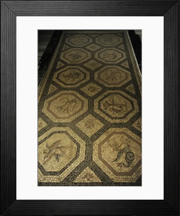 Framed Print : Roman floor mosaic. Cos (Istankoy). 2nd century AD Framed Print : Roman floor mosaic. Cos (Istankoy). 2nd century AD