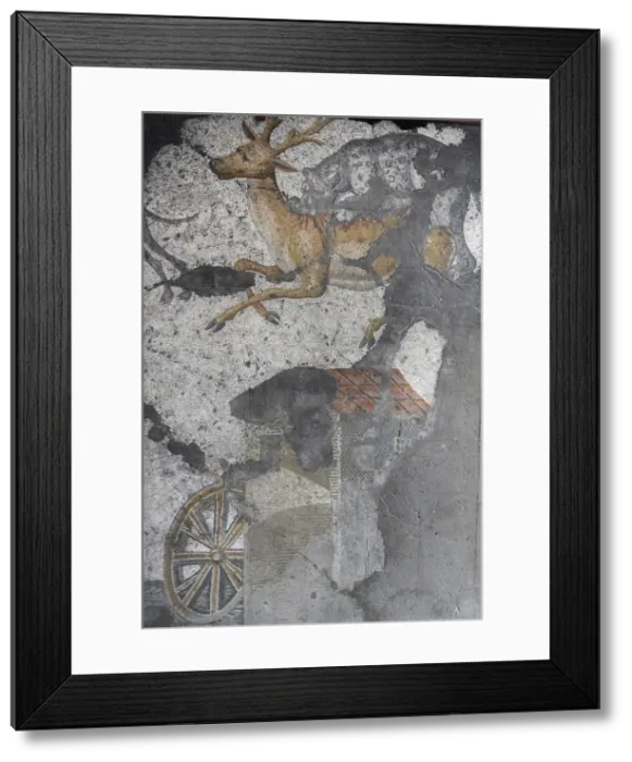 Framed Print : Mosaic of the Great Palace Mosaic Museum. Istanbul Framed Print : Mosaic of the Great Palace Mosaic Museum. Istanbul