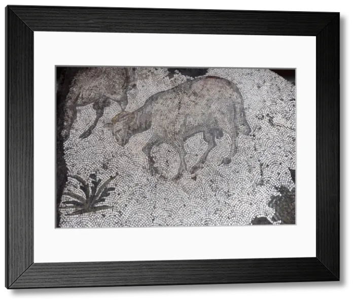 Framed Print : Mosaic of the Great Palace Mosaic Museum. Istanbul Framed Print : Mosaic of the Great Palace Mosaic Museum. Istanbul