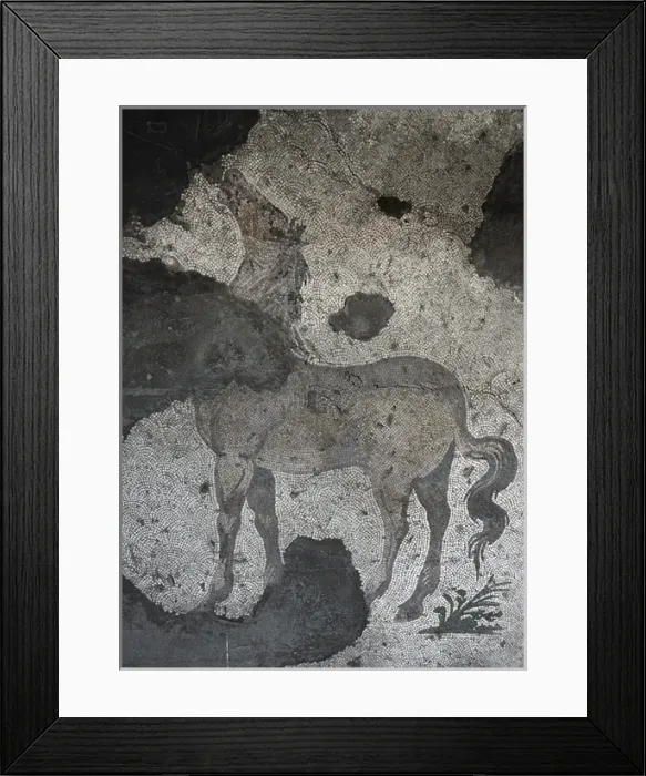 Framed Print : Mosaic of the Great Palace Mosaic Museum. Istanbul Framed Print : Mosaic of the Great Palace Mosaic Museum. Istanbul