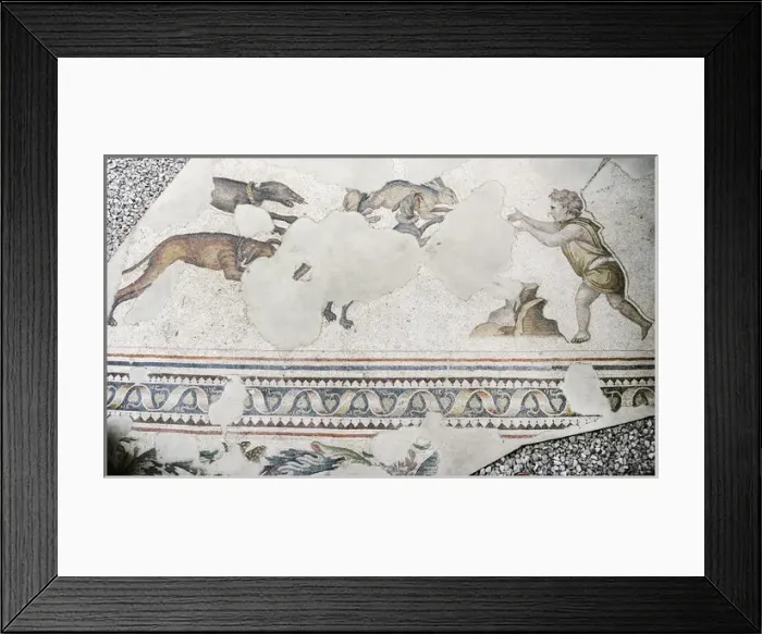 Framed Print : Mosaic of the Great Palace Mosaic Museum. Istanbul Framed Print : Mosaic of the Great Palace Mosaic Museum. Istanbul