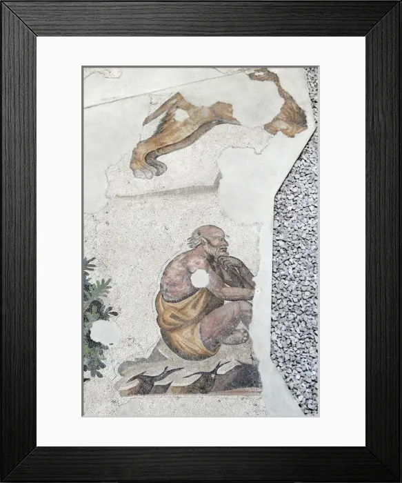 Framed Print : Mosaic of the Great Palace Mosaic Museum. Istanbul Framed Print : Mosaic of the Great Palace Mosaic Museum. Istanbul