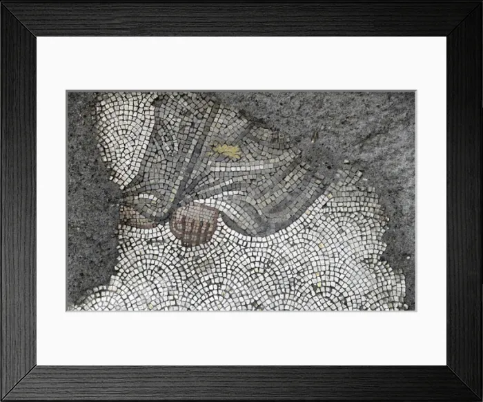 Framed Print : Mosaic of the Great Palace Mosaic Museum. Istanbul Framed Print : Mosaic of the Great Palace Mosaic Museum. Istanbul