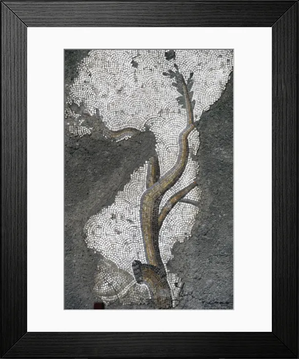 Framed Print : Mosaic of the Great Palace Mosaic Museum. Istanbul Framed Print : Mosaic of the Great Palace Mosaic Museum. Istanbul