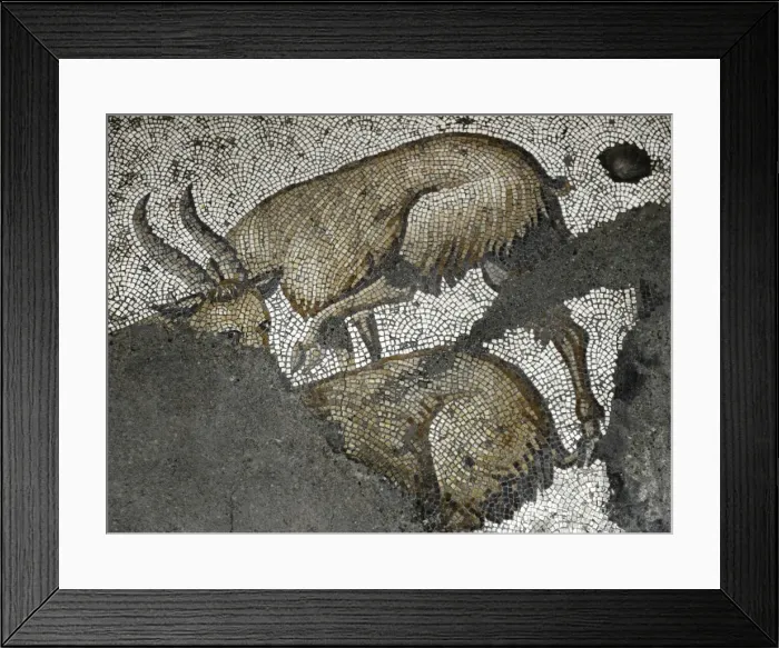 Framed Print : Mosaic of the Great Palace Mosaic Museum. Istanbul Framed Print : Mosaic of the Great Palace Mosaic Museum. Istanbul