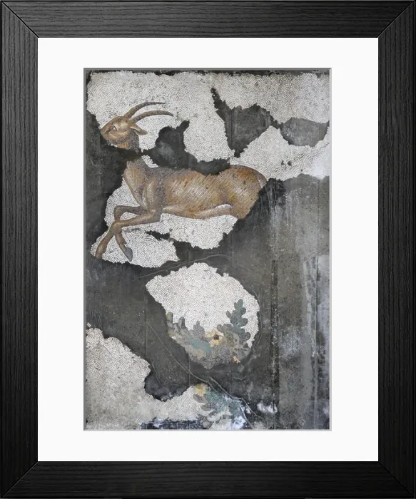 Framed Print : Mosaic of the Great Palace Mosaic Museum. Istanbul Framed Print : Mosaic of the Great Palace Mosaic Museum. Istanbul