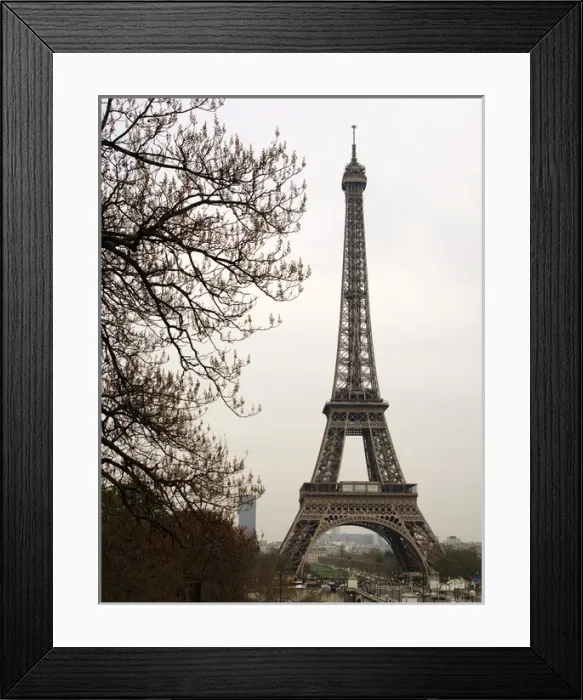 Framed Print : France. Paris. Eiffel Tower by Gustave Eiffel (1832-1923). I Framed Print : France. Paris. Eiffel Tower by Gustave Eiffel (1832-1923). I
