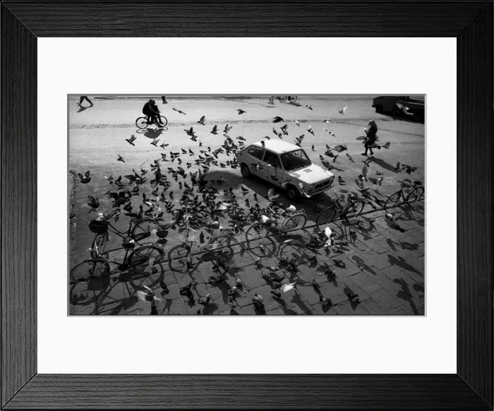 Framed Print : Pigeons and bicycles Piazza Cavilieri, Pisa, Italy Framed Print : Pigeons and bicycles Piazza Cavilieri, Pisa, Italy