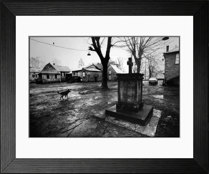 Framed Print : Dog in rainy village square Framed Print : Dog in rainy village square
