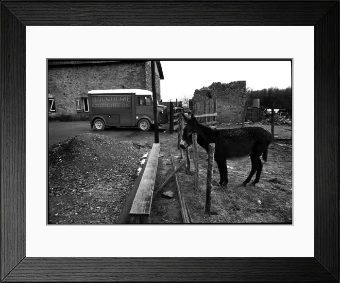 Framed Print : Donkey and butchers van, Northern, France