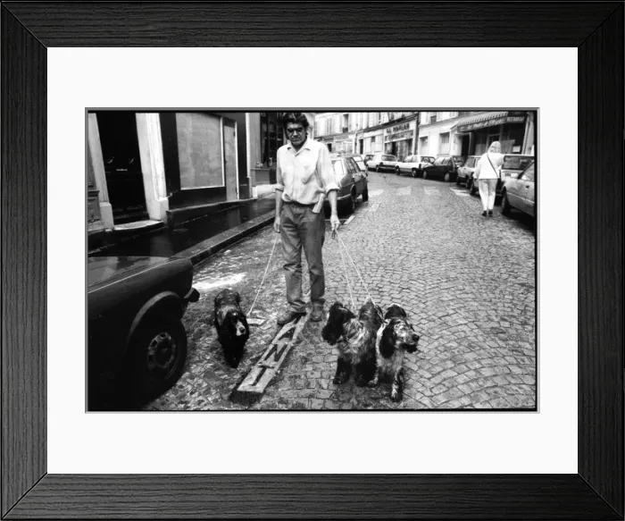 Framed Print : Man with 3 dogs in Paris Street Framed Print : Man with 3 dogs in Paris Street