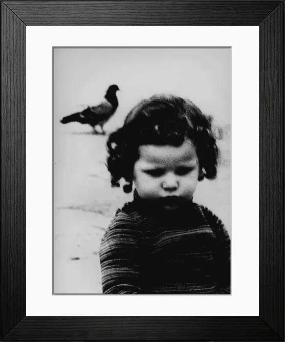 Framed Print : Girl and pigeon Forence. Italy Framed Print : Girl and pigeon Forence. Italy