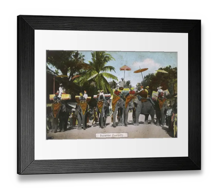 Framed Print : Festival with Elephants - Myanmar Framed Print : Festival with Elephants - Myanmar
