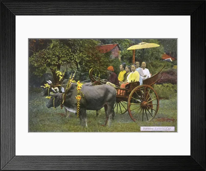 Framed Print : A Burmese Bullock Carriage Framed Print : A Burmese Bullock Carriage