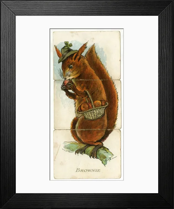 Framed Print : Misfitz - Brownie Framed Print : Misfitz - Brownie
