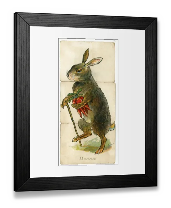 Framed Print : Misfitz - Bunnie