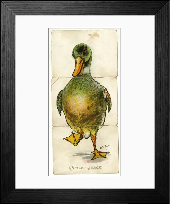 Framed Print : Misfitz - Quack-Quack Framed Print : Misfitz - Quack-Quack