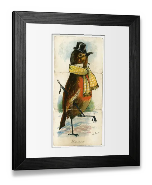 Framed Print : Misfitz - Robin Framed Print : Misfitz - Robin